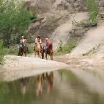 Palomino 3*