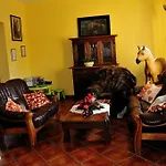 Palomino Pensión