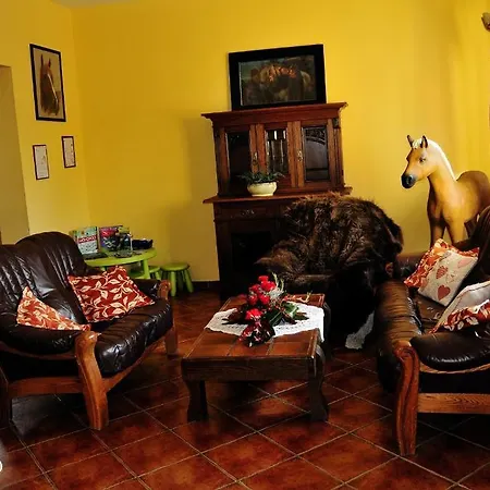 Palomino Pensionat